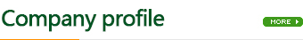 Company profile